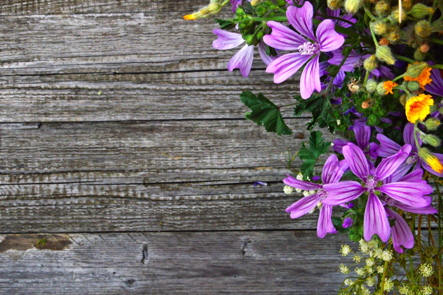 Purple flowers on weathered wood