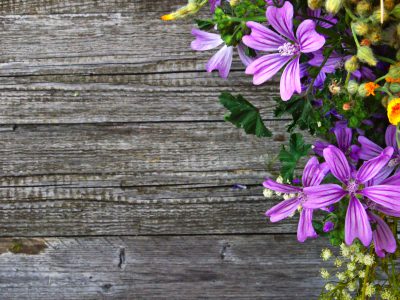 Purple flowers on weathered wood