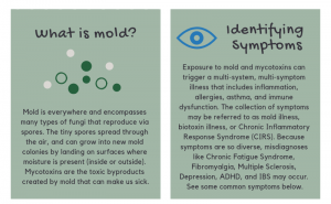 Mold Illness and CIRS - Symptoms, Tests, Treatments