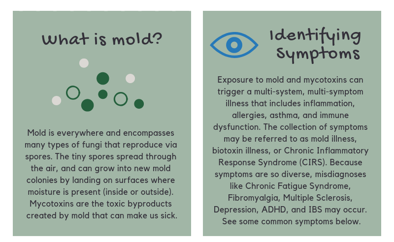 Mold Illness and CIRS - Symptoms, Tests, Treatments