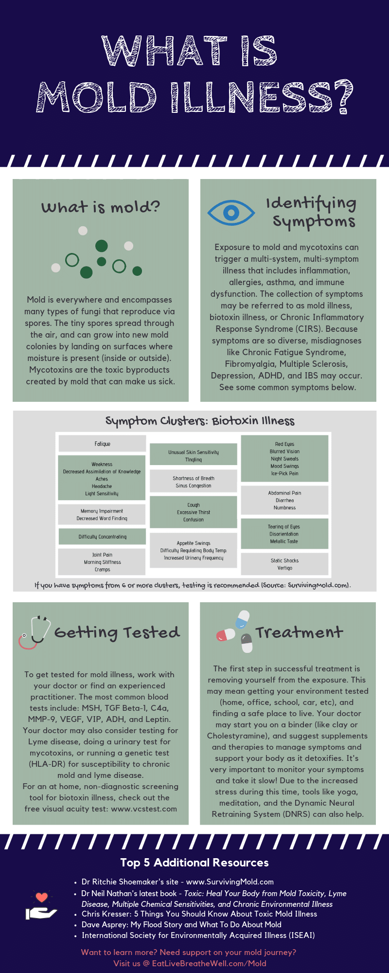 What Is Mold Illness Infographic