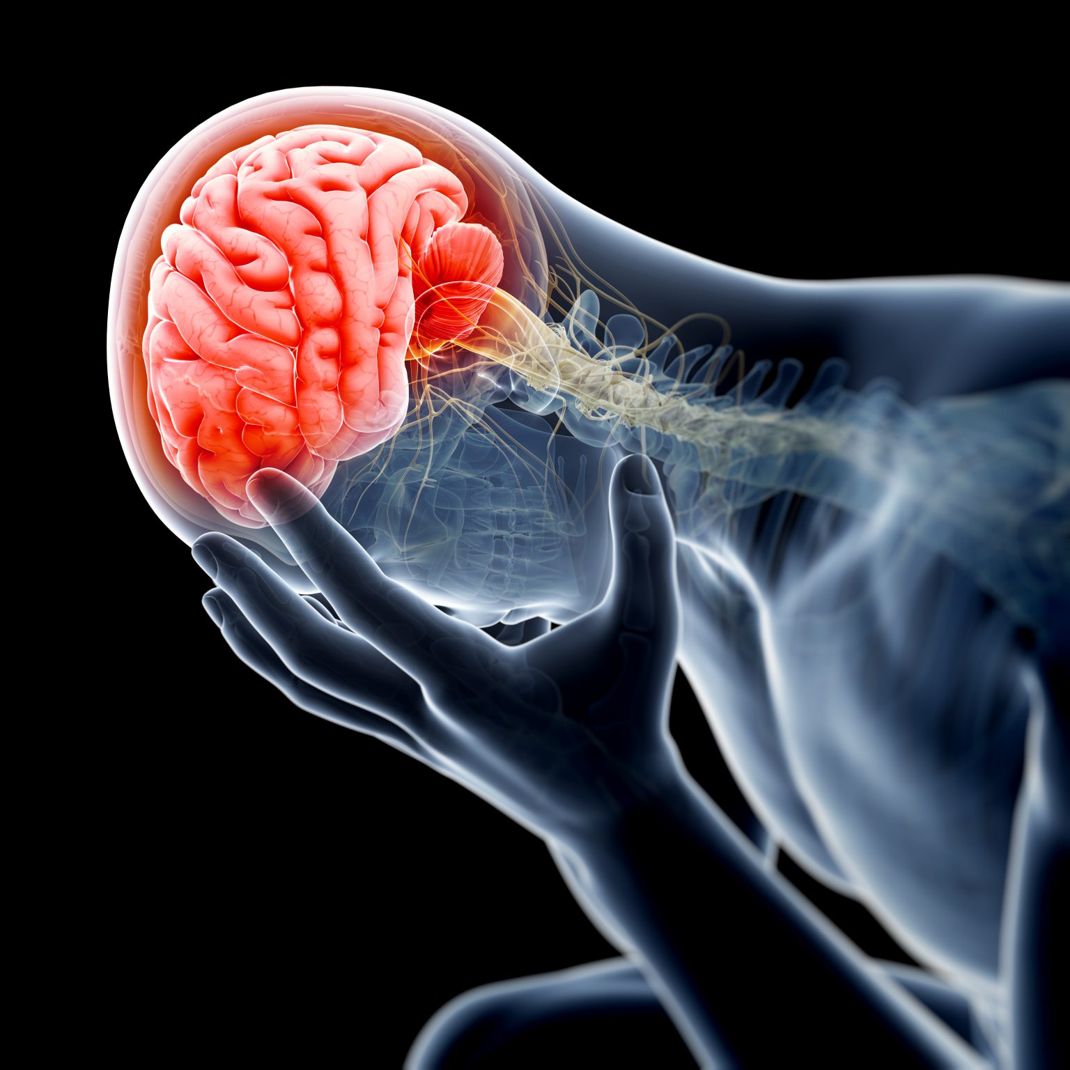 Brain Health - concussion, TBI